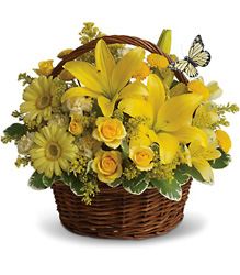 Basket Full of Wishes Flower Power, Florist Davenport FL